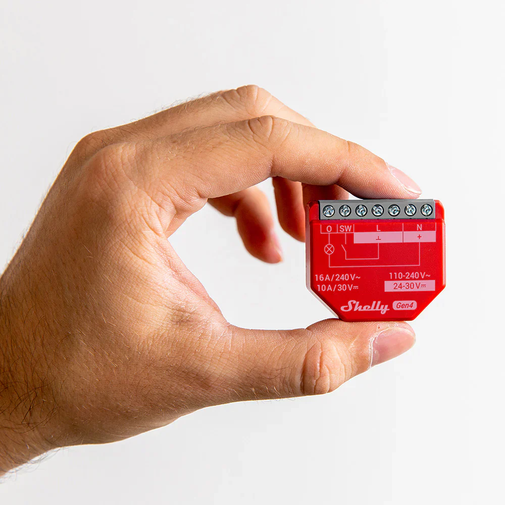 Miniatura 2