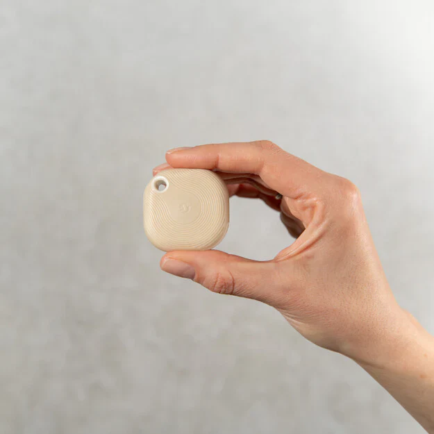 Miniatura 1